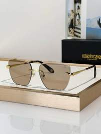 Picture of Roberto Cavalli Sunglasses _SKUfw79279463fw